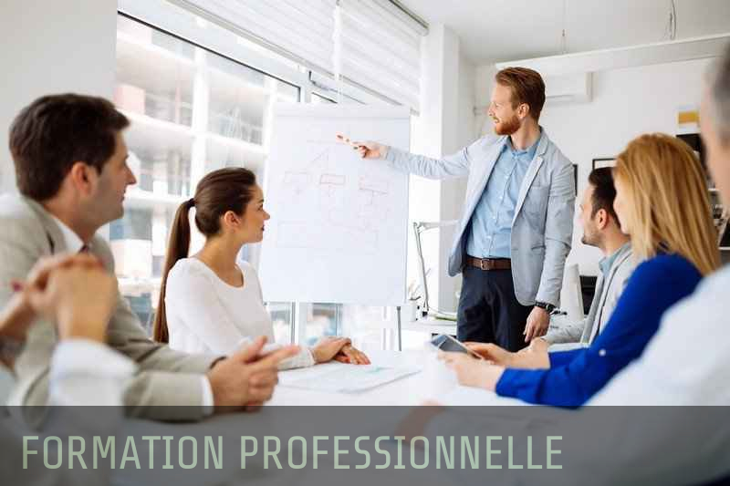 Formation professionnelle